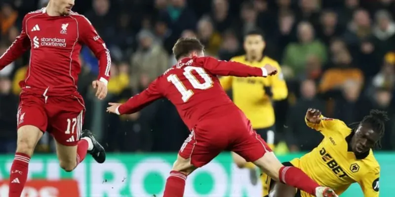 Tính năng nổi bật của Bongdalu